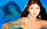 bolly_graphic-1159.jpg