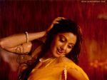 chandni25_800x600.jpg