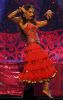 Bipasha Basu - IIFA 2007 Red Carpet & Show-10.jpg