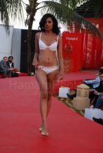Lingerie Fashion Show by Triumph at Hotel Renissance on 29th Jan 2008 (27).jpg