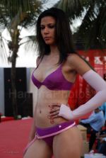 Lingerie Fashion Show by Triumph at Hotel Renissance on 29th Jan 2008 (30).jpg