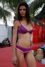 Lingerie Fashion Show by Triumph at Hotel Renissance on 29th Jan 2008 (31).jpg