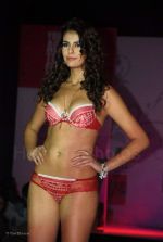 Lingerie Fashion Show by Triumph at Hotel Renissance on 29th Jan 2008 (4).jpg