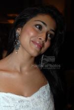 shriya saran at One more thought Event shriya saran at One more thought Event (43).jpg