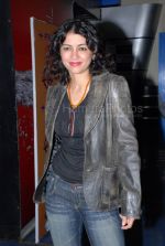 at the Fool's Gold premiere in Fame, Andheri on Feb 6th 2008 at the Fool_s Gold premiere in Fame, Andheri on Feb 6th 2008 (61).jpg
