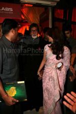 Amitabh Bachchan, Aishwarya Rai at Jodhaa Akbar Premiere(5).jpg