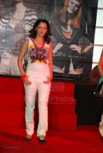 Aditi Govitrikar at Marc Cain fashion Extravaganza show at Grand Hyatt on Feb 22nd 2008 (5).jpg