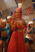 Mallika Sherawat on the sets of Maan Gaye Mughal-e-Azam at Filmistan on March 20th 2008(16).jpg