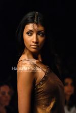 Model walks on the ramp for Dev R Nil at Lakme India Fashion Week on April 1st 2008(41).jpg