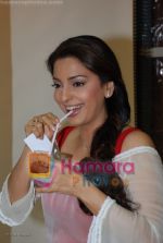 Juhi Chawla signed as the brand ambassador for Rooh Afza in Lower Parel on March 20th 2008 (25).jpg