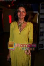 Shruti Seth at Be Kind Rewind premiere in PVR on May 20th 2008(9).JPG