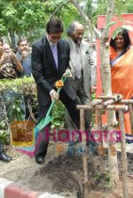 Amitabh Bachchan, Dr.R.K.Pachauri at the tree plantation at the IIFA Weekend Bangkok.JPG