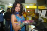 Sarah Jane launches RPG Telecom_s store at Oberoi Mall on 19th June 2008(2).JPG