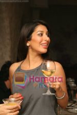 Sophie Choudhry at Olive launch on July 8th 2008.JPG