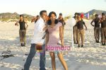 Priyanka Chopra, Salman Khan in the wallpaper of God Tussi Great Ho (6).jpg