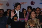 Amitabh Bachchan, Jaya Bachchan at Drona Premiere on 1st october 2008 (2).JPG