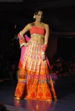 Bipasha Basu at the unveiling of Maheka Mirpuris collection Passione in Hotel Taj President on 3rd october 2008 (10).JPG