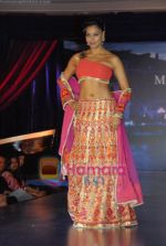 Bipasha Basu at the unveiling of Maheka Mirpuris collection Passione in Hotel Taj President on 3rd october 2008 (4).JPG