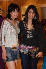 Arzoo Gowitrikar at fashion store Re launch in Bhulabhai Desai Road on 25th November 2008(13).JPG