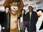 Ben Stiller, Chris Rock and Jada Pinkett Smith at Madagascar 2 premiere in London on 24th November 2008(5).jpg