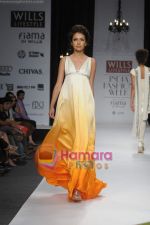 Model walk the ramp for Swapana and Seema at Wills Fashion Week (11).JPG