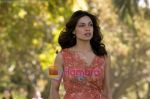 Rosario Dawson (3) in still from the movie Seven Pounds.jpg