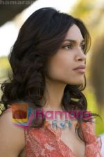 Rosario Dawson in still from the movie Seven Pounds.jpg