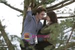 Kristen Stewart, Robert Pattinson (5) in still from the movie Twilight.jpg