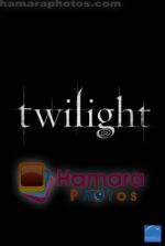 Twilight Movie Poster (1).jpg