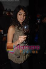 binal at Shamita Singha wine tasting party in Henry Tham, Colaba, Mumbai on 19th December 2008.jpg