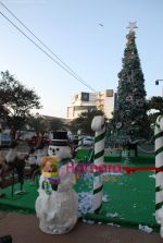 at biggest Christmas tree in Croma, Juhu on 25th December 2008 (3).JPG