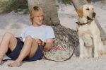 Owen Wilson in the still from movie Marley and Me (3).jpg