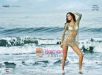 Model in Manish Chaturvedi calendar for TOSS Vodka premix on 22nd Jan 2009 (10).jpg