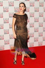 Anna Friel poses at the Elle Style Awards 2009 at Big Sky Studios on February 9, 2009 in London, England.jpg