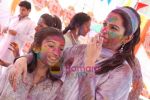 at Holi celebrations by NDTV Imagine on 3rd March 2009 (27).JPG