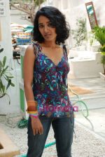Tanishta Chatterjee at Barah Anna film photo shoot in Olive on 10th March 2009 (15).JPG