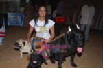 Brinda Parekh at Dog show in Govandi on 27th April 2009 (16).JPG