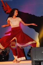 at Dancing Flute album launch by Bikramjit Singh Cinemax on 5th May 2009 (29).JPG