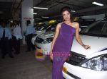 at the Launch of Mumbai Taxi Company_s Star Taxi in Intercontinental on 3rd June 2009 (26).JPG