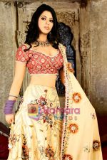 Priyankaa plays a Maratha princess .jpg