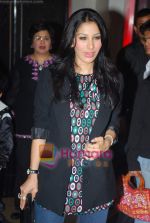 Sophie Chaudhry at Kambakkht Ishq special screening in PVR on 1st July 2009 (5).JPG