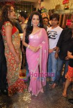 Celina Jaitley at Jashn store launch in Oberoi Mall on 5th July 2009 (5).JPG