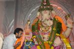 Raj Kundra seek ganesha blessings in Chinchpokli, Mumbai on 29th Aug 2009 (3).JPG