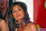 Chitrangada Singh at Garnier Brunch in Olive on 6th Sep 2009 (16).JPG