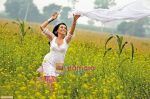 Rani Mukherjee in the still from movie Dil Bole Hadippa (7).jpg