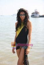 Anushka Manchanda in a bikini at Indian Navy Week open swimming championship in Colaba on 21st Nov 2009 (3).JPG