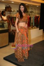 Sucheta Sharma at Maya Weddings show in Atria Mall on 3rd Dec 2009 (4).JPG