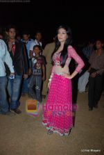 Amrita Rao at Police show in Andheri Sports Complex on 19th Dec 2009 (2).JPG