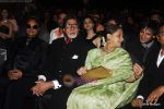 Amitabh Bachchan, Jaya Bachchan at the Red Carpet of Apsara Awards in Chitrakot Grounds on 8th Jan 2010 (3).JPG