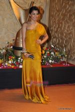 Mugdha Godse at the Red Carpet of Apsara Awards in Chitrakot Grounds on 8th Jan 2009 (2).JPG